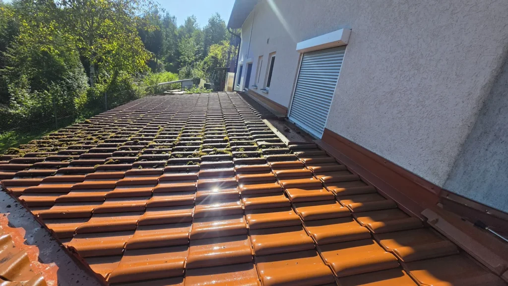 Dachreinigung Betondachstein in Oberösterreich vorher
